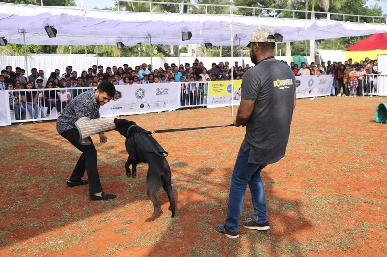 Furventures - Pet Adventures & Events - Photo 10